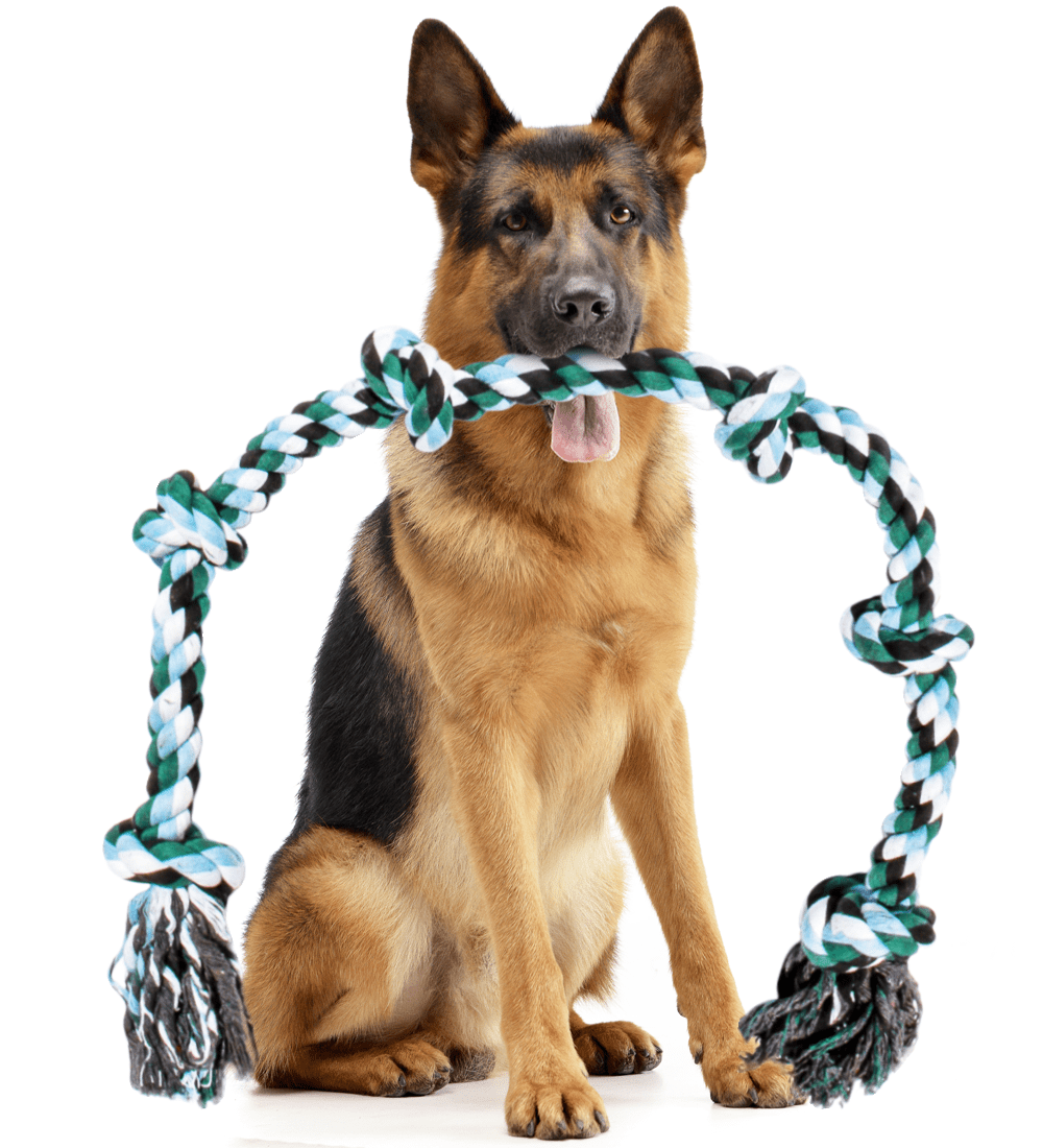 Dog leash toys for extra large dogs