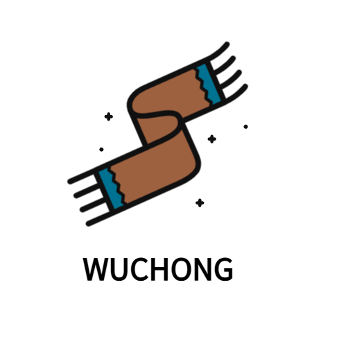 WUCHONG TECHNOLOGY (HK) LIMITED